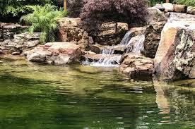 How to keep pond water clear. Pond Maintenance Services In Southern California Package