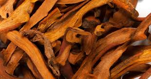 Image result for Drynaria volkensii