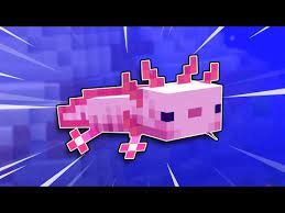 When an axolotl is held with a lead on the ground, it begins walking at an. Everything You Need To Know About Axolotls In Minecraft 1 17 Youtube In 2021 Minecraft Axolotl Axolotl Minecraft Minecraft 1