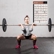 Barbell Exercise Poster Laminated 20 Fitness Weight