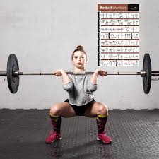 barbell exercise poster laminated 20 fitness weight