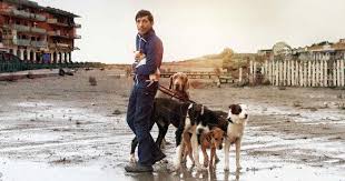 The store will not work correctly in the case when cookies are disabled. Dogman Official Site Palace Films