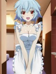 Maybe you would like to learn more about one of these? Sarashiki Tatenashi Infinite Stratos Danbooru
