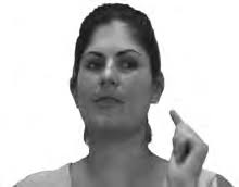 24 The Phonology of Movement in Sign Language