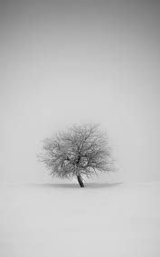 Download the background for free. Hd White Wallpapers For Mobile Wallpaper Cave