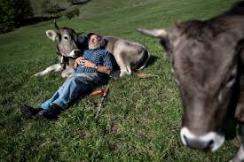 images?q=tbn:ANd9GcR0CndjqDwcsBkoafliLurvRUR4zKVHB7woKw&usqp=CAU