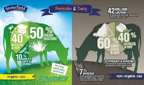 Why We Re Organic Stonyfield Benefits Of Organic Food What Do Cows Eat Genetically Modified Food