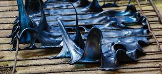 Can you put oven racks in the dishwasher? How To Clean Your Oven Racks With Aluminum Foil Fantastic Services