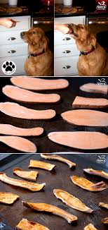 Homemade Sweet Potato Dog Treats Sweet Potato Dog Treats Sweet Potatoes For Dogs Homemade Dog Food