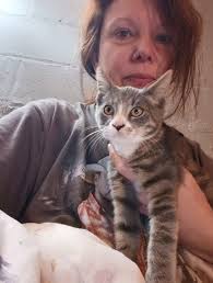 So I'm a mail carrier and if I find a cat