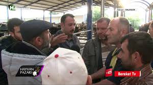 Hayvan Pazari Simental Melezi Bir Yasinda Besi Danasi Fiyati Balikesir Youtube