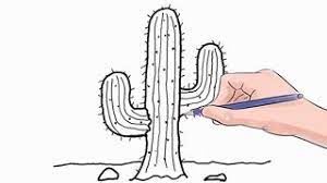 Learn how to draw a cactus using a fun illustration filled with details and great effects. How To Draw A Cactus Easy Step By Step Youtube
