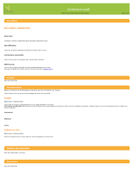 Image result for Combretum xanthothyrsum