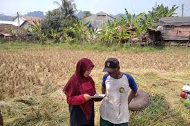 Check spelling or type a new query. Info Kampus Archives Laman 3 Dari 5 Pusdiktan Online