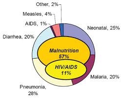 Integrated Management Of Newborn And Childhood Illness