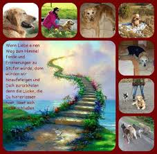 Dieses video habe ich für dani, eine freundin (avisweethorse) gemacht, da ihre katze bitzie am 23.4.2010 verstorben ist und da sie sehr traurig war. Regenbogenbrucke Hier Findet Ihr Unsere Schutzlinge Die Den Regenbogen Bereits Uberquert Haben Und Nun Engel Sind Die Seelentroster