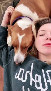 Just a confused boy #danceydance #fyp #dabenny #pup