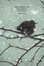 Winter Quotes To Make The Soul Sparkle Winter Quotes Black Bird Winter Love Quotes