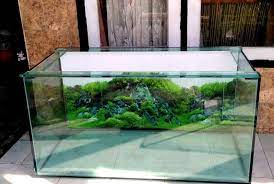 Aquarium dibersihkan tiap hari yang harus diperhatikan untuk cara merawat aquarium ialah, periksa kesehatan ikan. 7 Cara Merawat Aquarium Ikan Hias Agar Air Tetap Jernih Hobinatang