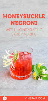 For This Cocktail Recipe Natalie Migliarini Riffs On A Classic Negroni By Incorporating Dry Vermouth And Homemade Hone Negroni Recipe Cocktail Recipes Recipes