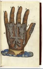 Feast Your Eyes On This Treasure Trove Of Old Medical Illustrations Medical Illustration Renaissance Medicine Show Of Hands