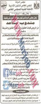وظائف مجلس الدولة مندوب مساعد إعلان رقم 1 لسنة 2014 1 يناير 2014