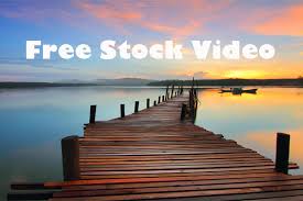 Never waste your chicken bones. The Best Royalty Free Stock Video Footage Websites