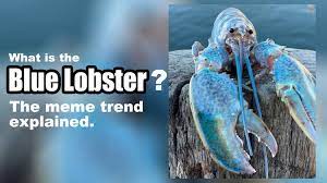 What Is The 'Blue Lobster' Meme? The Video Trend Explained | Know Your Meme