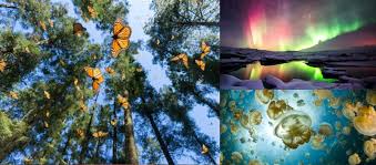 Gambar macro ni adalah gambar serangga kecil. 17 Gambar Bukti Keindahan Alam Semulajadi Yang Tersembunyi Belum Pernah Korang Lihat