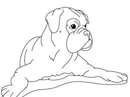 Download and print these boxer dog coloring pages for free. Cute Boxer Dog Coloring Pages Novocom Top