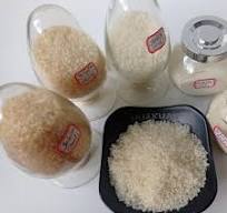 Unflavored 80~280bloom Halal Edible Beef Gelatin Factory Price