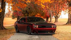 Image result for Octane Red 2018 Fleet