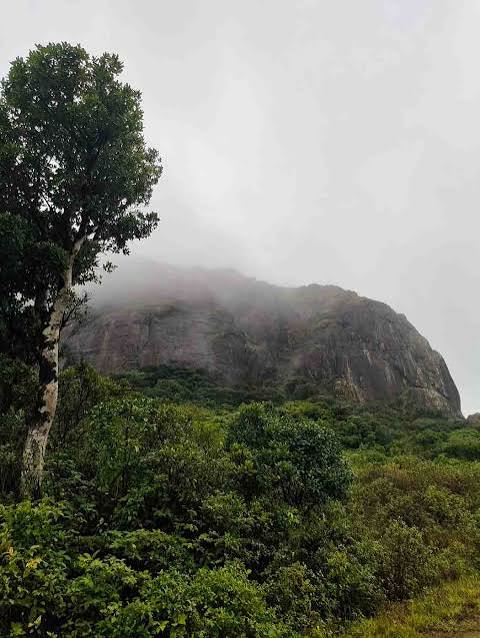 Coorg, Karnataka landscape