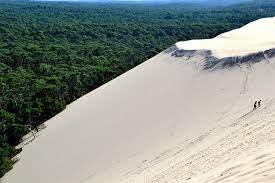 La neige sur la dune du pilat, le 7 février 2018. Dune Du Pilat Sandwalze Und Die Hochste Dune Europas Camperdays Blog