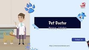 The pet doctor's best boards. Pet Doctor Boise Idaho Pet Hospital Boise
