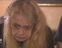 Hoarding case: 63 cats found in retired veteran's freezer