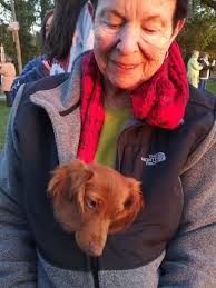 Lynn Hancock Kaskin Obituary March 2, 2023