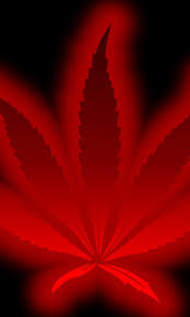 How many images have a red background on them? 74 Neon Red Background On Wallpapersafari