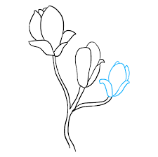 Stock illustrations by suwi19 1 / 17 beautiful magnolia, spring flower isolated stock illustration by artnature 6 / 80 magnolia flower clip art by lidiya 11 / 2,167 two pink magnolia flowers, sketch vector illustration stock illustration by sabelskaya 4 / 118 beautiful sketchy magnolia twigs seamless background stock illustration by. How To Draw Magnolia Flowers Really Easy Drawing Tutorial