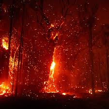 However, the best way to know for if your crush is always the one who has to say goodbye first, they might start to feel like you like them more than they like you. How Rupert Murdoch Is Influencing Australia S Bushfire Debate The New York Times