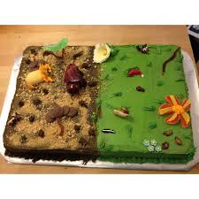 Grassland Biome In A Box Grassland Biome Cake My Daughter And I Made For A School Project Biomes Project Kindergarten Science Biomes