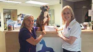 Check spelling or type a new query. Healthy Pets Veterinary Clinic Facebook