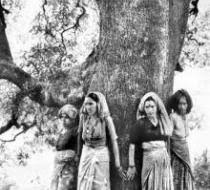 He's vastly credited for the success of the chipko motion that started. Chipko Movement Actipedia