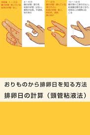 排卵日の計算 頸管粘液法 排卵日の計算 子宮頸管 排卵 妊娠する方法
