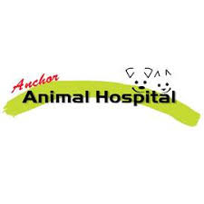Animals/wildlife buildings/landmarks backgrounds/textures business/finance education food and drink health care holidays objects industrial art nature people religion science technology. Anchor Animal Hospital Home Facebook