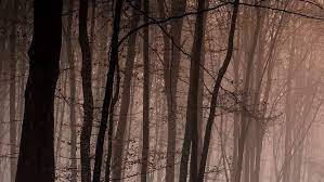 There can be many possible causes of flickering, including issues with this switch automatically turns a recessed light off if the temperature inside the fixture gets too hot and turns the light back on once the fixture cools. Led Light On Tumblr