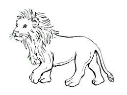 Dibujo León Para Colorear