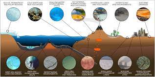 What events from my past are hindering my ability to live in the present? Frontiers Living At The Extremes Extremophiles And The Limits Of Life In A Planetary Context Microbiology