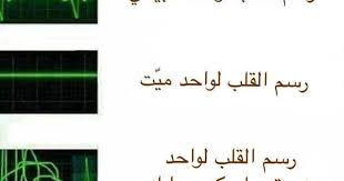 pin by h on هبل funny arabic quotes arabic funny quotes