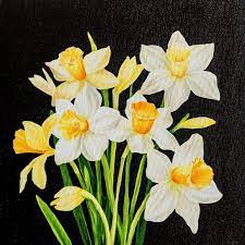 Maybe you would like to learn more about one of these? Daffodils White And Yellow Flowers On A Black Background Oil Painting On Canvas Painting By Myroslava Voloschuk Saatchi Art
